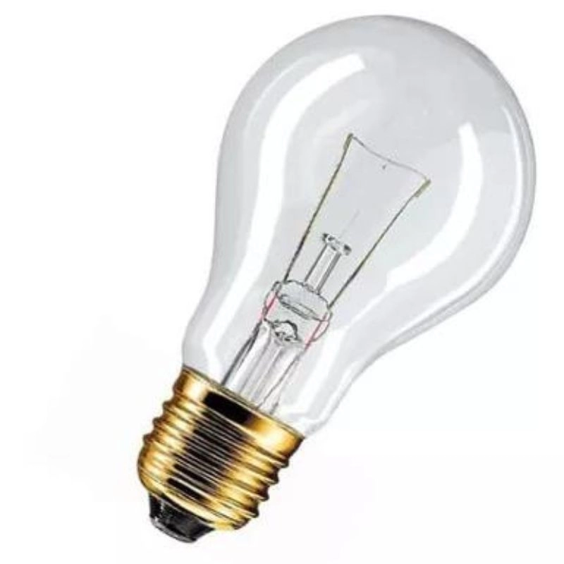 Lámpara de filamento 60W 12V E27