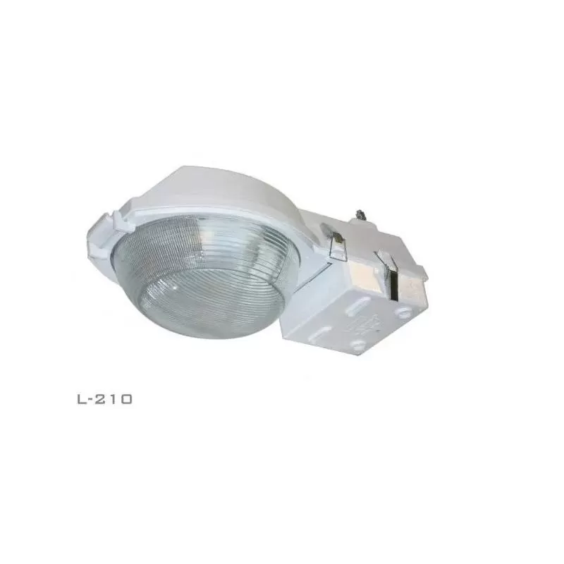 Luminaria Lanin Modelo L-210 Para Brazo E-40