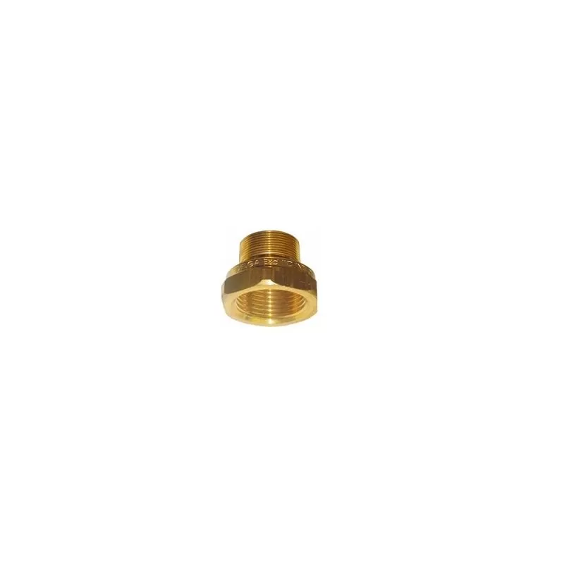 Adaptador Ape Exraf 017M20 NPTXM20 - DELGA