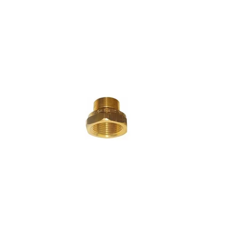 Adaptador Ape Exraf 017M25 NPTXM25 - DELGA
