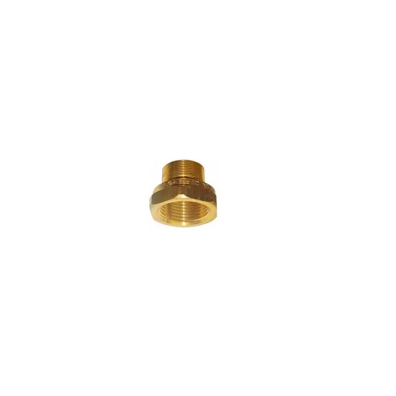 Adaptador Ape Exraf 027M32 NPTXM32 - DELGA