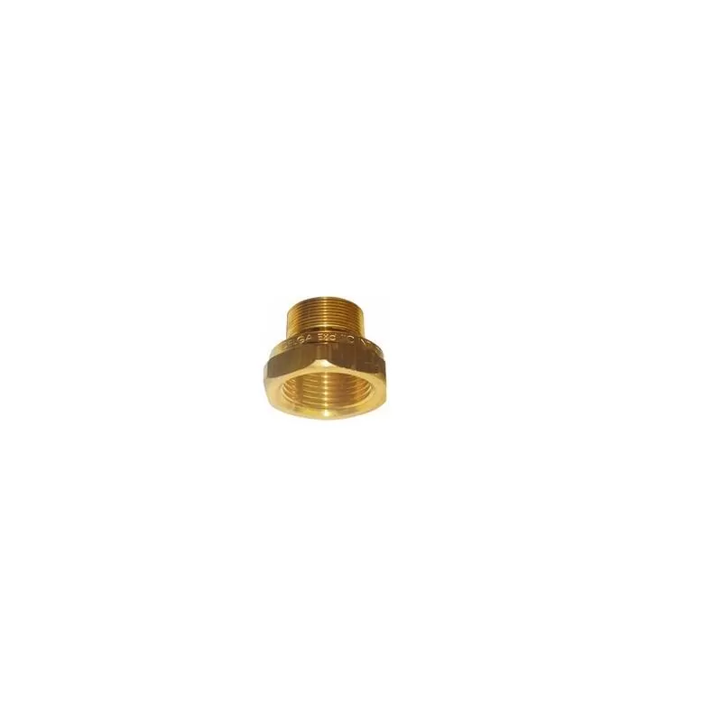 Adaptador Ape Exraf 037M40 NPTXM40 - DELGA
