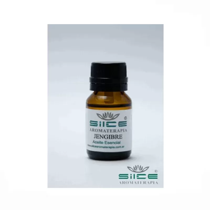 ACEI ESEN JENGIBRE X 10ML