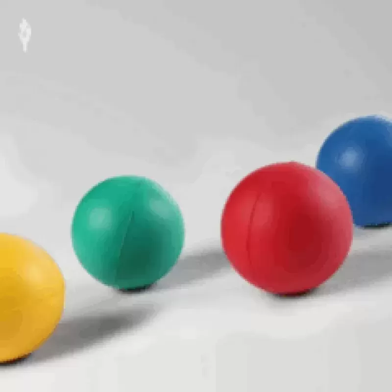 PELOTA GOMA MASAJ,EJER GR