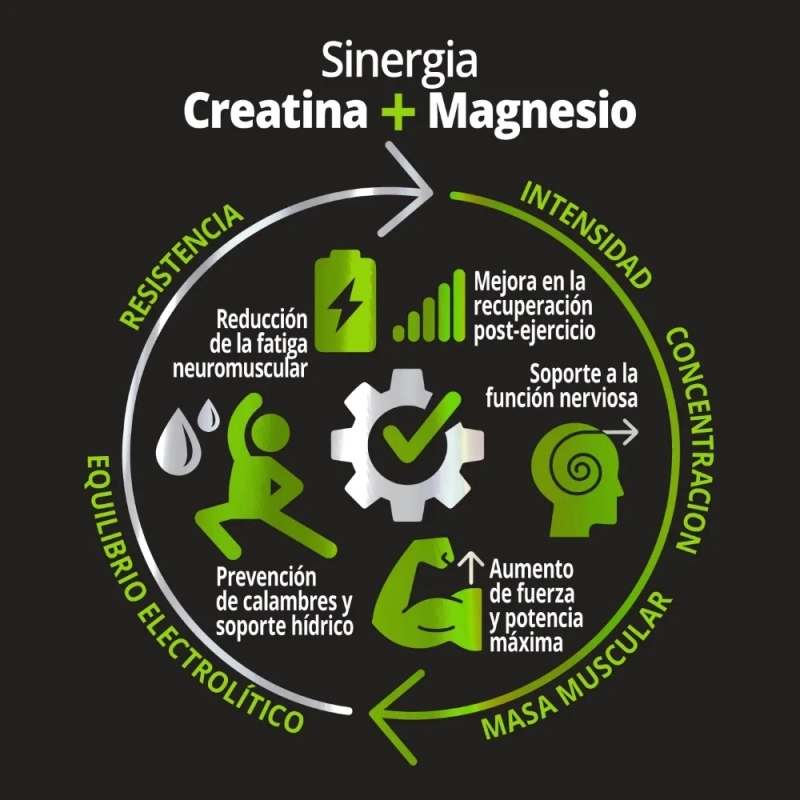 Elea Holocreatina Suplemento de Creatina Monohidratada x 30 Sobres