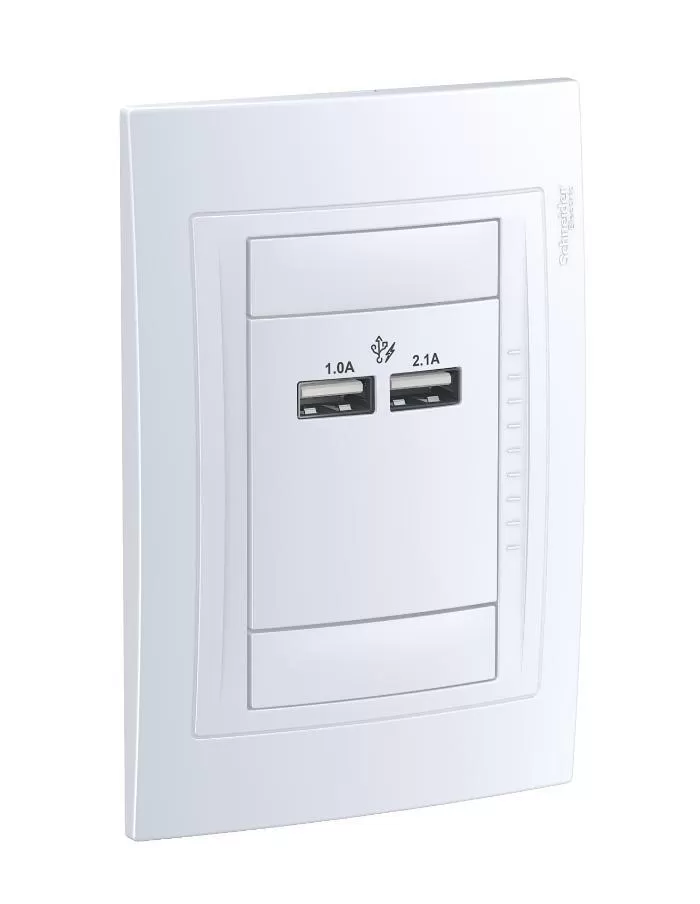 Toma Doble USB 2,1A Schneider Base Completo