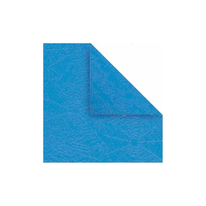 21169